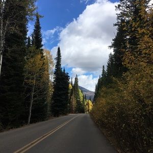 Meet your Posher, Kandice